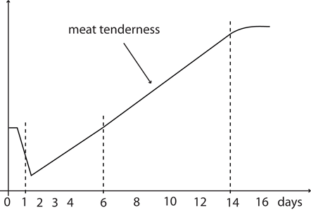 Meat Aging